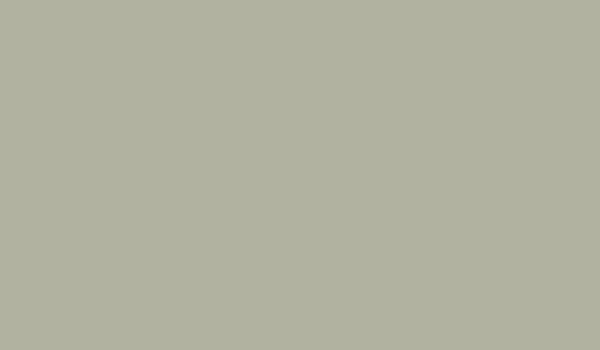 02-PVDF-PrepaintedSteel-Parchment-600×350 PVDF Pre-Painted Steel | Parchment