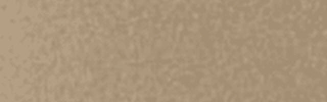 04-PVDF-PrepaintedSteel-ChampagneMetallic-640×200 PVDF Pre-Painted Steel | Champagne Metallic