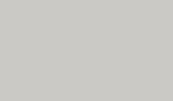 SMP Pre-Painted Steel | White-White