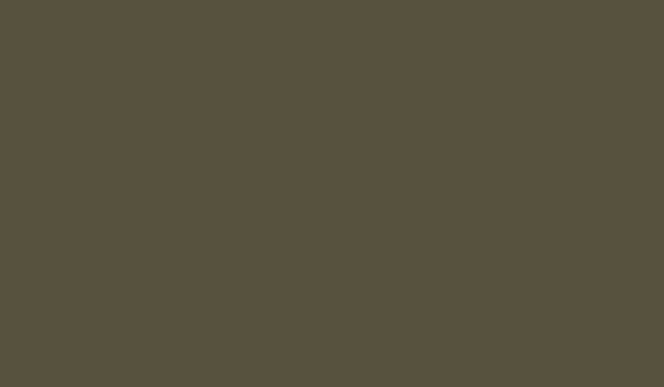 06-PVDF-PrepaintedSteel-WeatheredCopper-600×350 PVDF Pre-Painted Steel | Weathered Copper