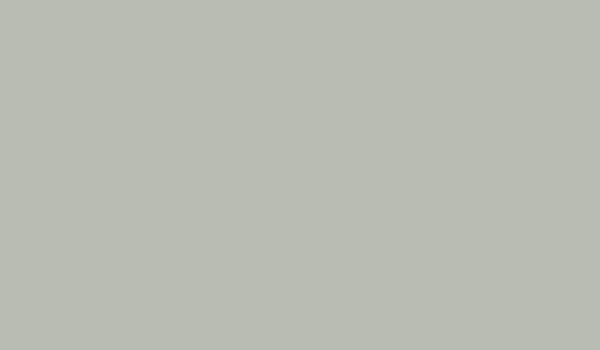 SMP Pre-Painted Steel | Bone White