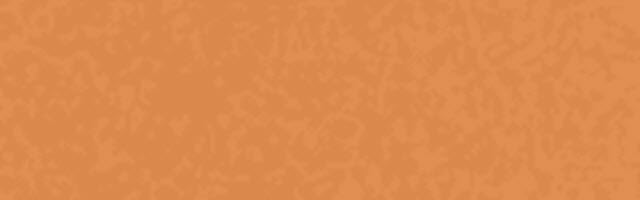 09-PVDF-PrepaintedSteel-CopperPenny-640×200 PVDF Pre-Painted Steel | Copper Penny