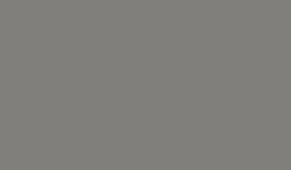 21-PVDF-PrepaintedSteel-OldZincGrey-600×350 PVDF Pre-Painted Steel | Old Zinc Grey