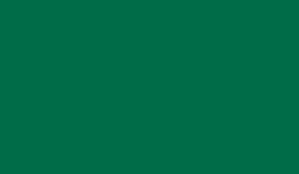 SMP Pre-Painted Steel | Spruce Green