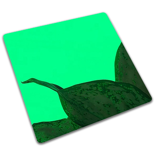 Mirror Polished Stainless Steel | Green
